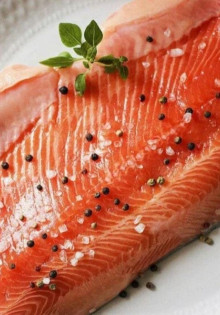 Огари – удивительные утки, которые умеют удивлять