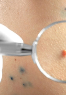 Коростель: Загадочная птица, которой сложно не восхититься