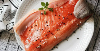 Огари – удивительные утки, которые умеют удивлять