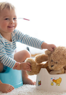 Белая лазоревка: таинственный мир редкой птицы