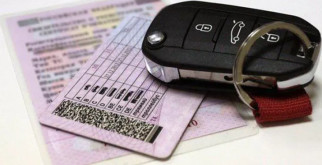 Ламантины: Друзья морских просторов и загадочные создания