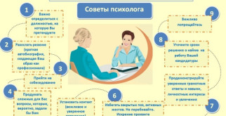 Мегатерий: гигант, который пронесся мимо вечно замерзших времён