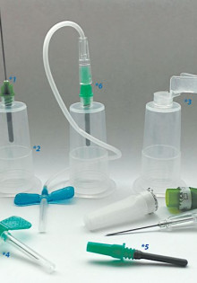 Ехидна: Уникальный Вихрь Жизни в Мирах Дикой Природы