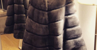 Зебра: Парнокопытное или Непарнокопытное? Разбираем Все Мифы!