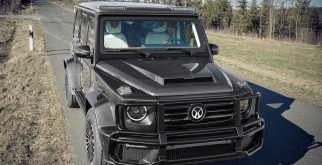 Утка гоголь: загадочная птица северных широт