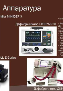 Носороги: Удивительные факты о весе этих гигантов!