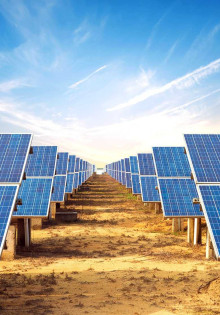 Муравьи: Невидимые Труженики Подземного Мира