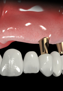 Почему лев рычит? Разгадка мощного рычания короля саванны