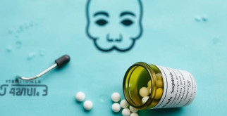 Скорость медведя при беге: кто быстрее – мы или они?