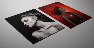 Птеригоплихт: Уникальный обитатель тропических водоемов