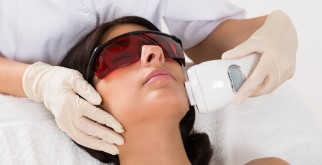 Лисы: загадочные существа лесов и полей