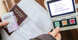 Парнокопытные: Удивительные жители нашей планеты
