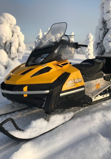 Высшие приматы: загадочные соседи человека на планете Земля