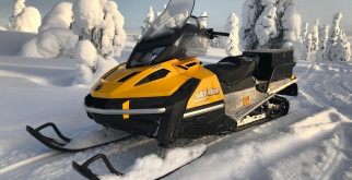 Высшие приматы: загадочные соседи человека на планете Земля