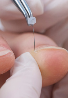 Ночные охотники: тайный мир животных, которые живут под покровом ночи