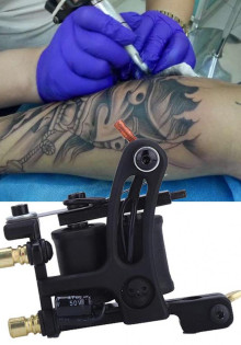 Зеленая лягушка: Очарование и загадки маленького обитателя водоемов