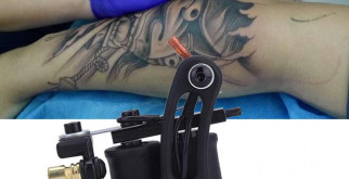 Зеленая лягушка: Очарование и загадки маленького обитателя водоемов