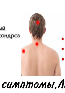 Соболь домашний: очарование и загадка пушистого друга