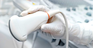 Крокодилы: Очарование Древних Хищников и Их Места Обитания