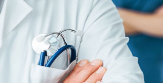 Рябчики: загадочные птицы лесов и лугов