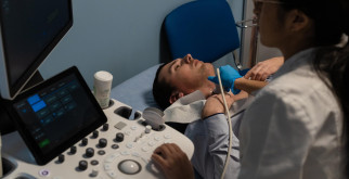 Газели: Грация и Быстрота Природы