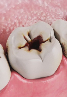 Приматы: Удивительный мир наших ближайших родственников