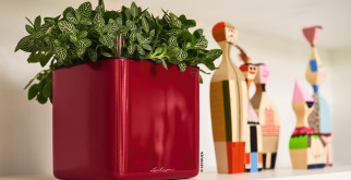 Что представляет собой кашпо “Lechuza”?