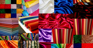 Лысый уакари: удивительный житель амазонских тропиков