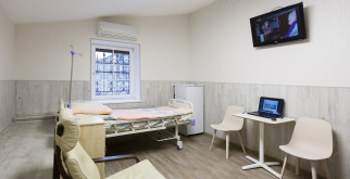 Тайны ночных стражей: Познайте удивительный мир рукокрылых млекопитающих!