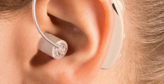 Венценосный голубь: элегантный символ тропических лесов