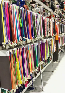 Погружение в мир жуков: удивительная жизнь жужелицы!