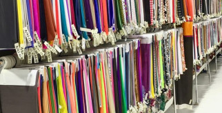 Погружение в мир жуков: удивительная жизнь жужелицы!