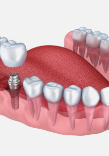 Скрытые чудеса природы: удивительная жизнь птички-кулика