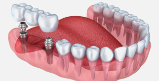 Скрытые чудеса природы: удивительная жизнь птички-кулика