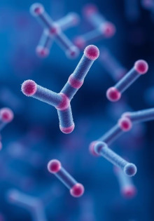 Как производят антитела: от науки до медицины