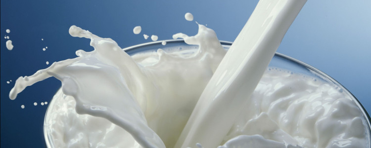 Калорийность молоко 2,5% жирности, стерилизованное. химический состав и пищевая ценность