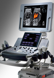 Снежные барсы: загадочные обитатели горных вершин