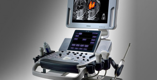 Снежные барсы: загадочные обитатели горных вершин