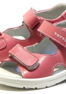 Тайны и чудеса животных Севера: неведомые обитатели холодных просторов