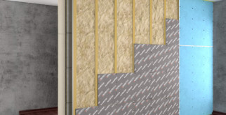 Сверчки: Музыка природы или неприметные насекомые?