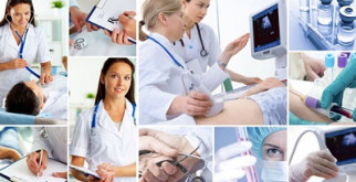 Большой рыжий кенгуру: гигантский прыгун из Австралии