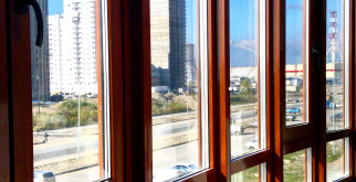 Красная книга Кузбасса: сохранение редких видов и природа, о которой стоит заботиться