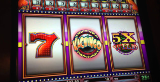 Всё, что вы не знали об африканских ежах: их жизнь, повадки и забота