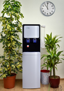 Улетные соседи: Птицы Волгоградской области