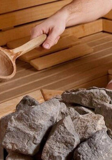 Загадочный хобот слона: удивительный инструмент природы