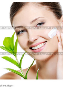 Удивительный мир спячки: какие животные впадают в зимний сон?