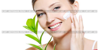 Удивительный мир спячки: какие животные впадают в зимний сон?