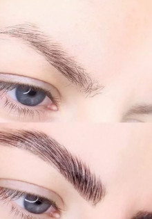 Сколько айкью у обезьяны? Разгадки загадок природы