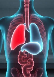 Санатории для лечения хронического холецистита: как выбрать, чего ждать и что взять с собой