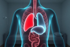 Санатории для лечения хронического холецистита: как выбрать, чего ждать и что взять с собой